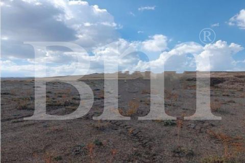  BM'DEN VAN ERÇİŞTE 53.000M2 YOL KENARI DÜZ TARLA
