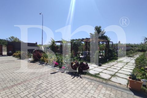 bm''den erdemli kargıpınarın'da 1+1 havuzlu doğalgazlı daire