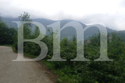 bm'den giresun bulancak