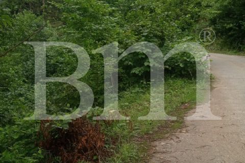 bm'den giresun bulancak