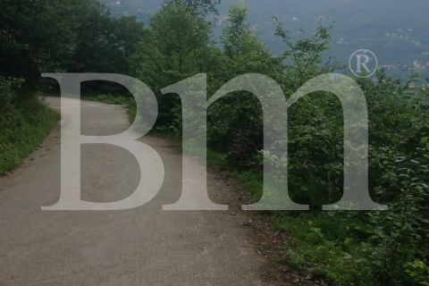 bm'den giresun bulancak
