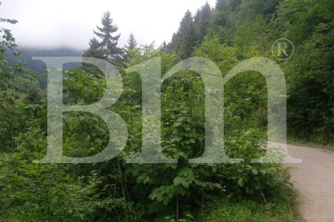 BM'DEN GİRESUN BULANCAK'TA 3079m2 KÖYİÇİ İMARLI FINDIK BAHÇESİ