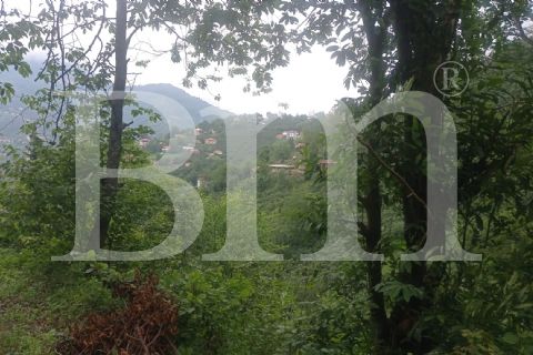 bm'den giresun bulancak