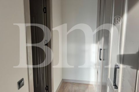 bm