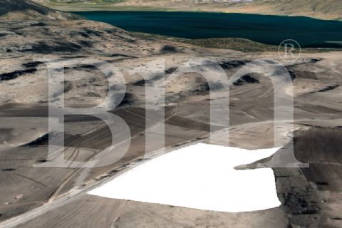 bm