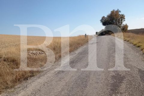 bm