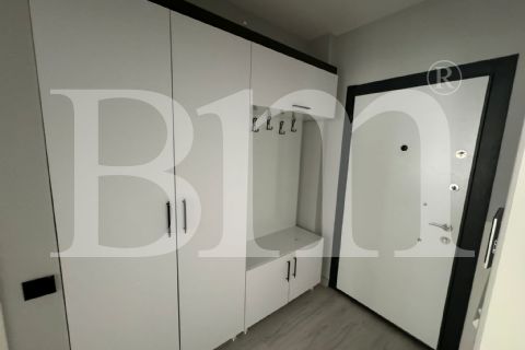 bm