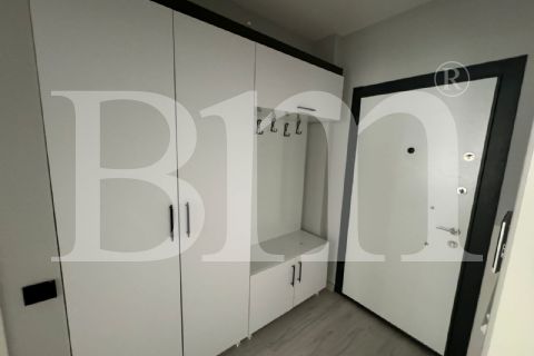 bm