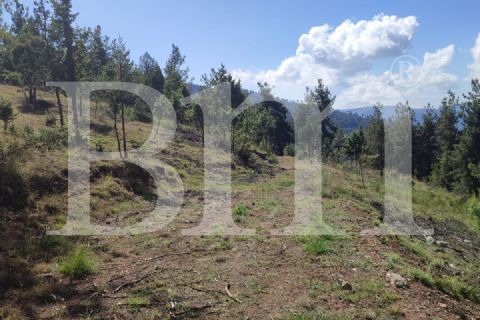 bm''den toroslar kızılkaya'da yatırımlık 9 dönüm tarla