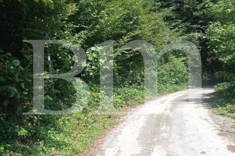 bm'den trabzon maçka kuşlu