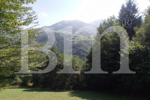bm'den trabzon maçka kuşlu