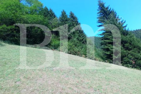 BM'DEN TRABZON MAÇKA KUŞLU'DA DOĞANIN İÇİNDE 8036m2 ARSA