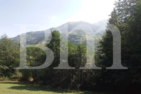 bm'den trabzon maçka kuşlu