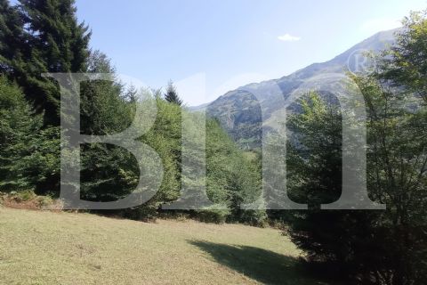 bm'den trabzon maçka kuşlu