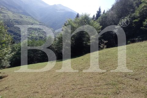 bm'den trabzon maçka kuşlu