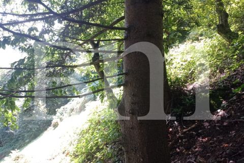 bm'den trabzon maçka kuşlu