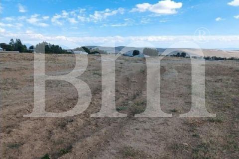 bm