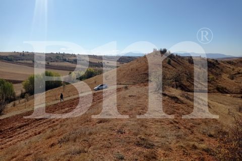 bm