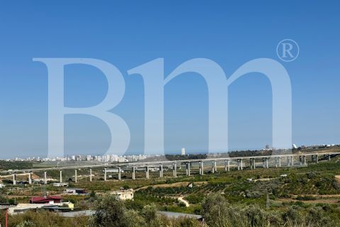 bm