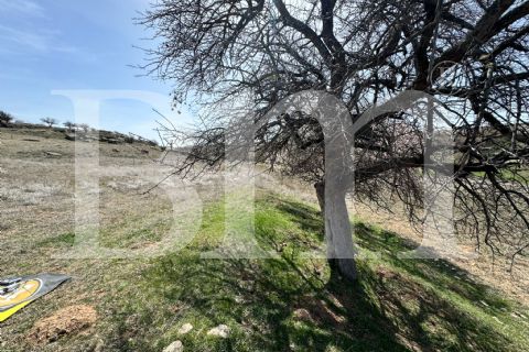 fırsat nevşehir kozaklı